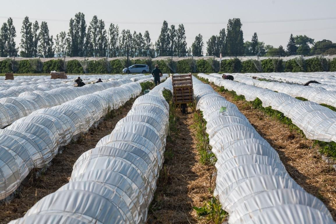 Meccanico in vendita – €. 400.000,00 – rif. VI295
