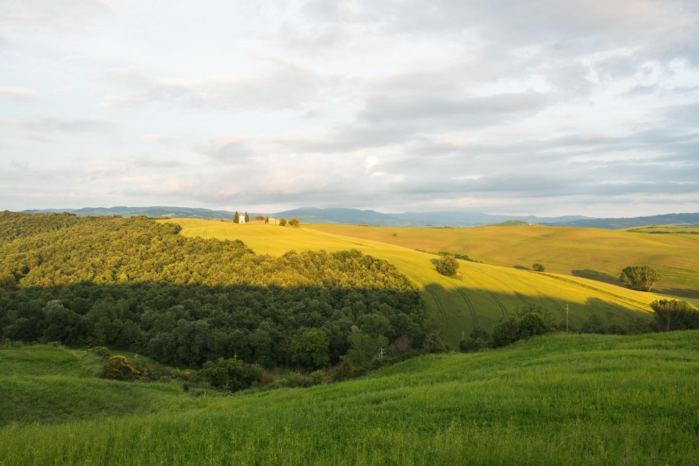 1414629-2u13hg Terreno agricolo in vendita – €. 27.000,00 – rif. 4544854