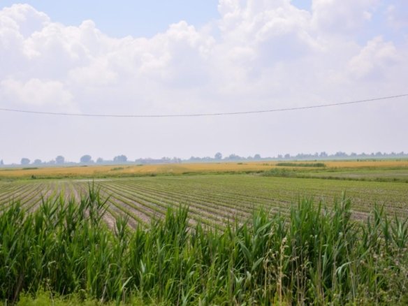 Terreno agricolo in vendita – €. 570.393,00 – rif. 4584326TRIS