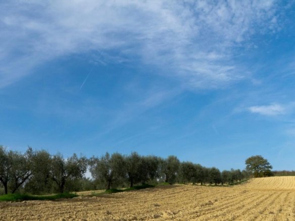 Annesso agricolo in vendita – €. 360,00 – rif. 4599796