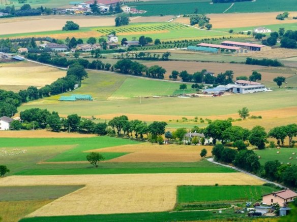 Terreno agricolo in vendita – €. 44.250,00 – rif. 4611811
