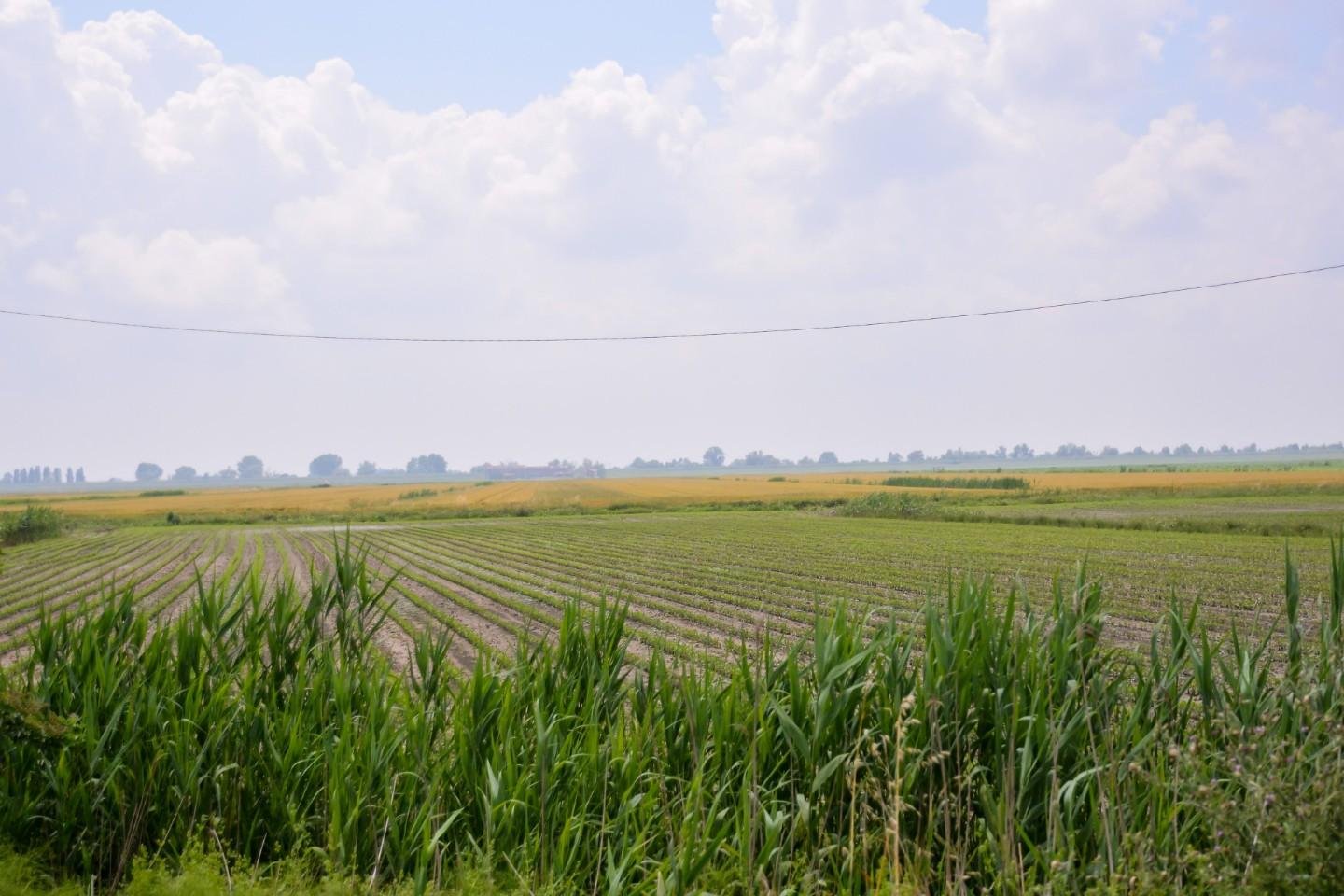 Terreno residenziale in vendita – €. 205.286,00 – rif. 4607545