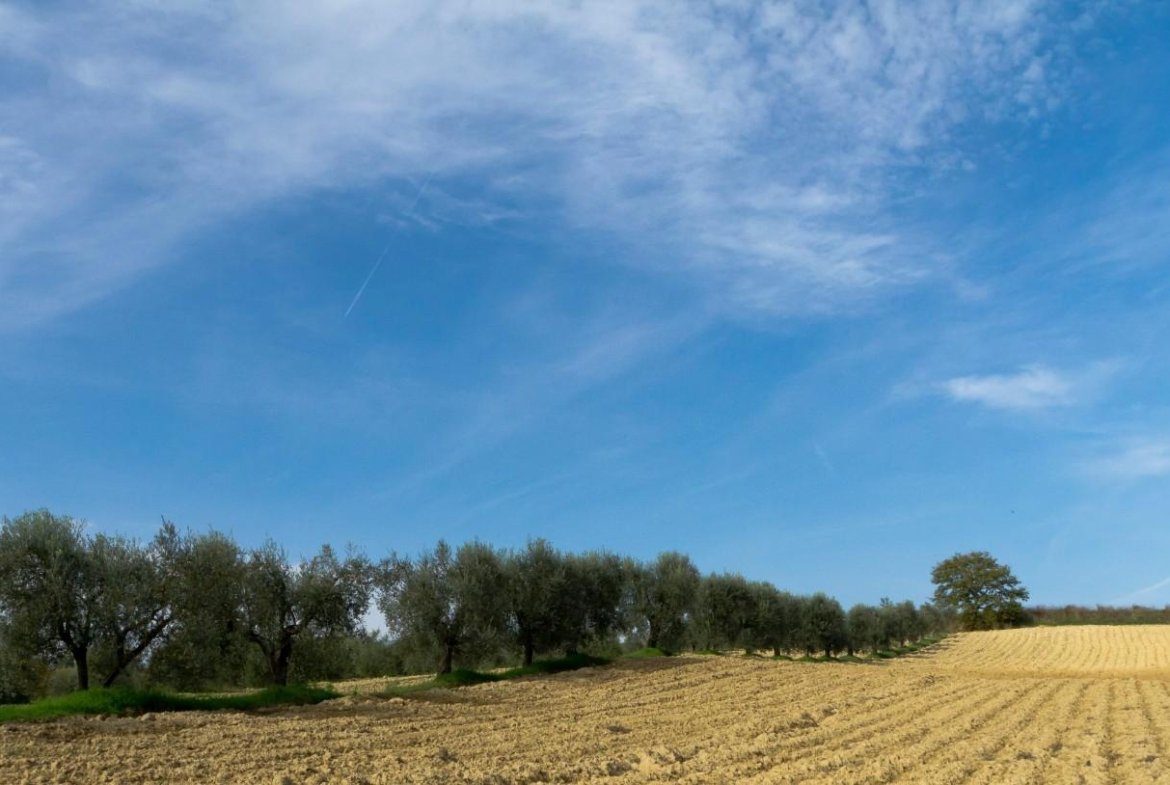 Terreno residenziale in vendita – €. 205.286,00 – rif. 4607545