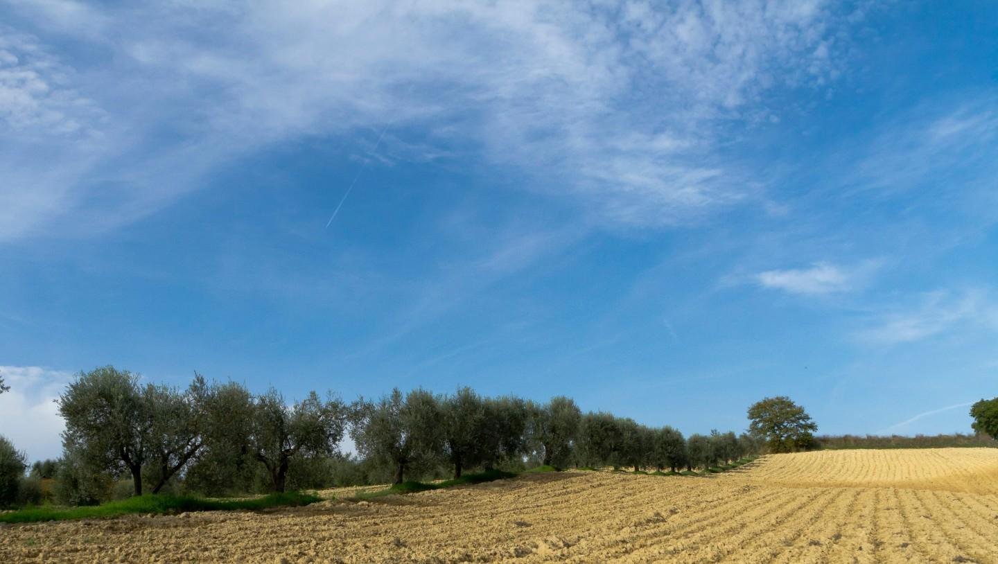 Terreno residenziale in vendita – €. 205.286,00 – rif. 4607545
