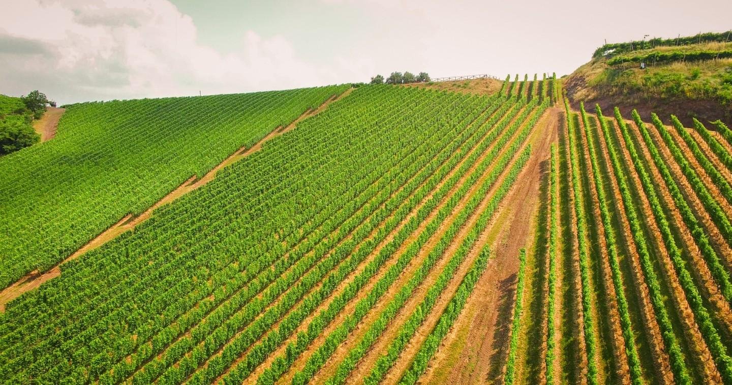 Terreno agricolo in vendita – €. 1.100,00 – rif. 4606973