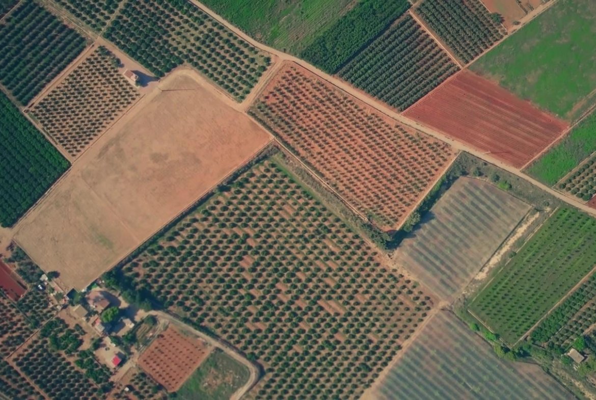 Terreno agricolo in vendita – €. 1.100,00 – rif. 4606973