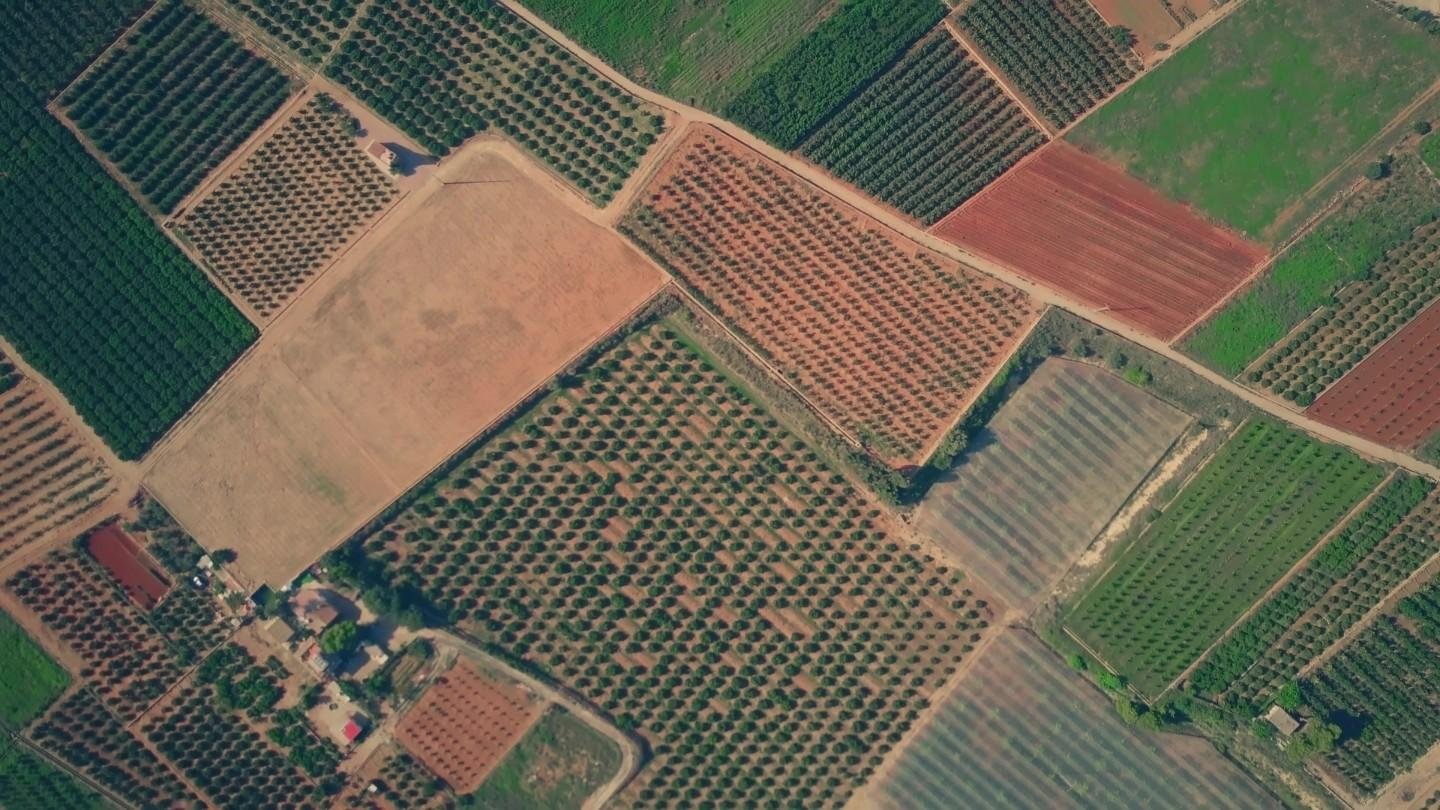 Terreno agricolo in vendita – €. 1.100,00 – rif. 4606973