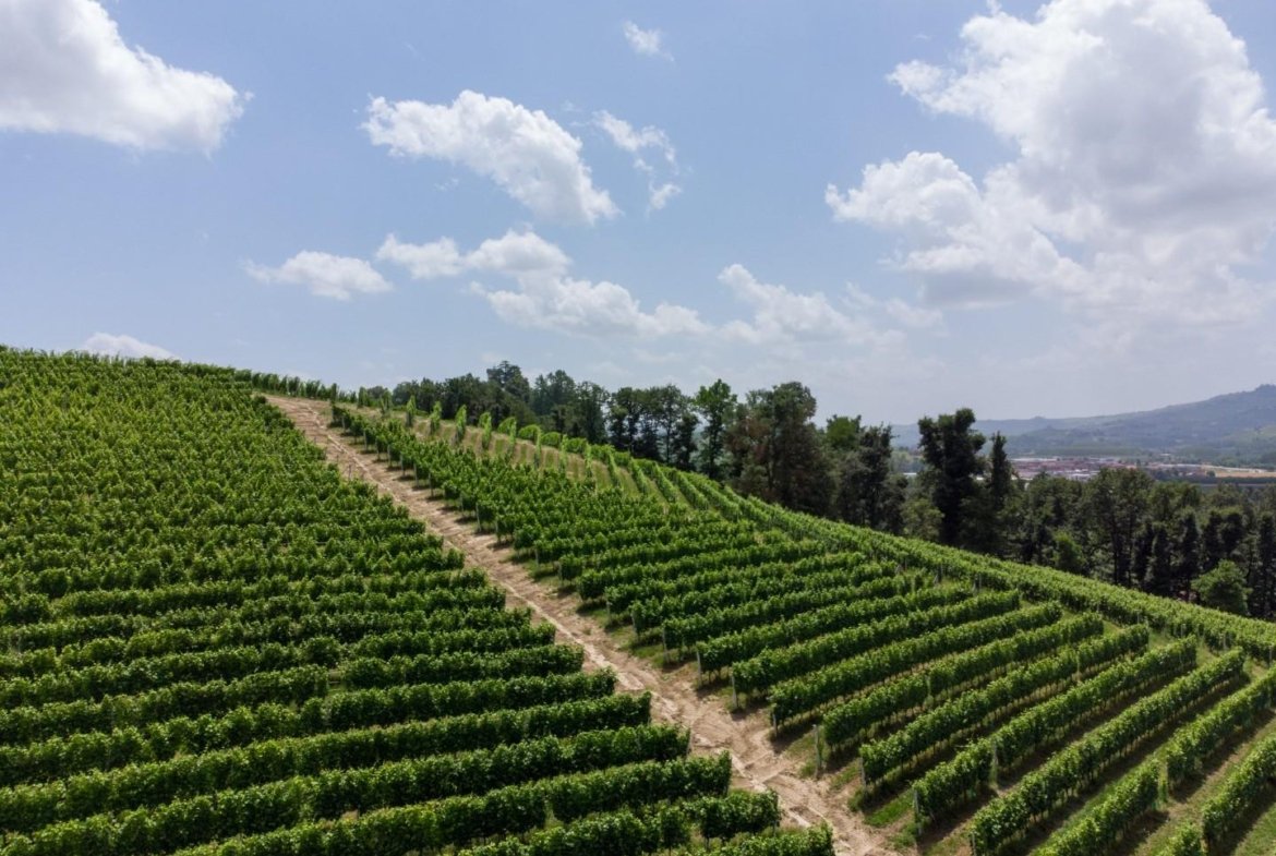 Terreno agricolo in vendita – €. 1.100,00 – rif. 4606973