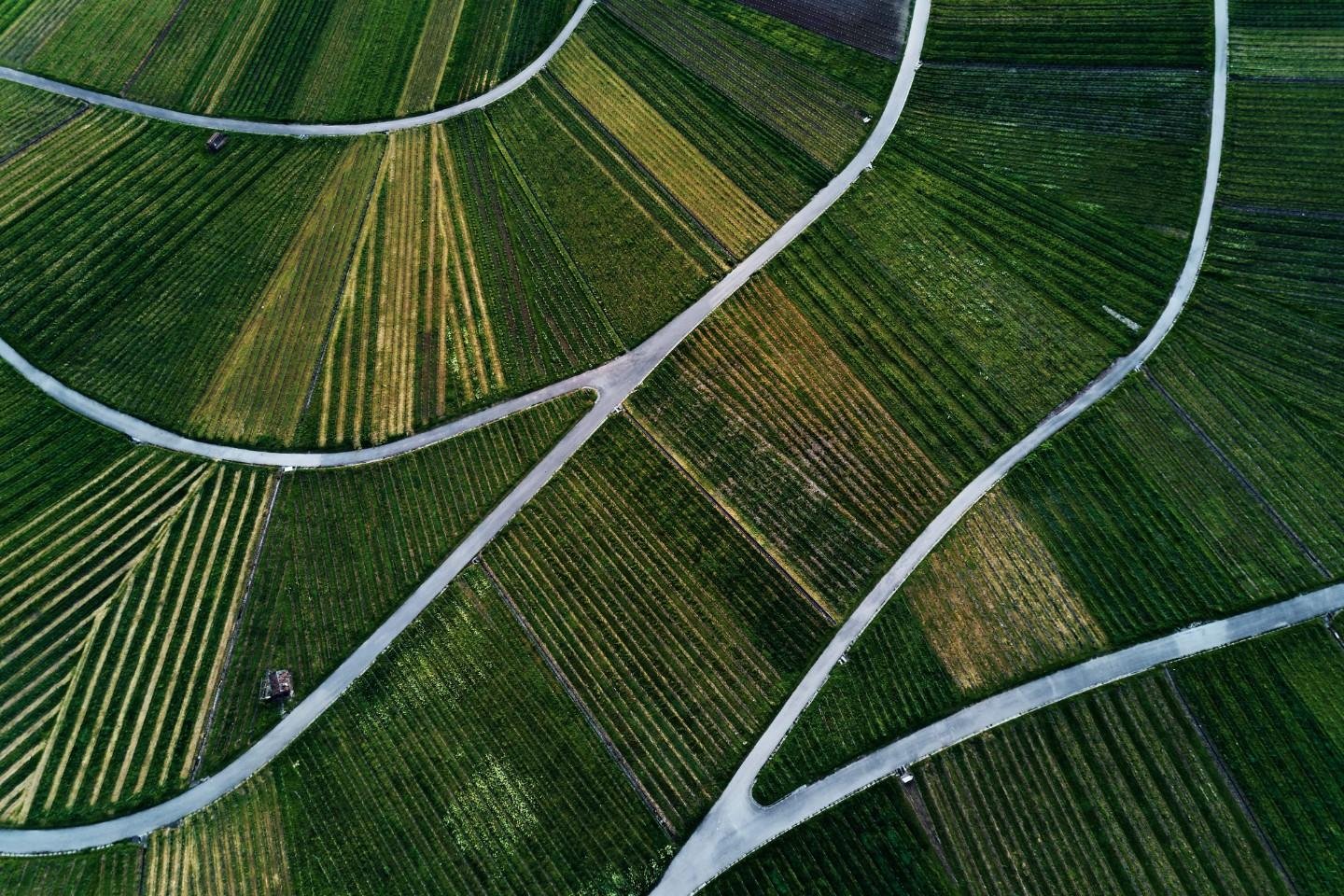 Terreno agricolo in vendita – €. 1.100,00 – rif. 4606973