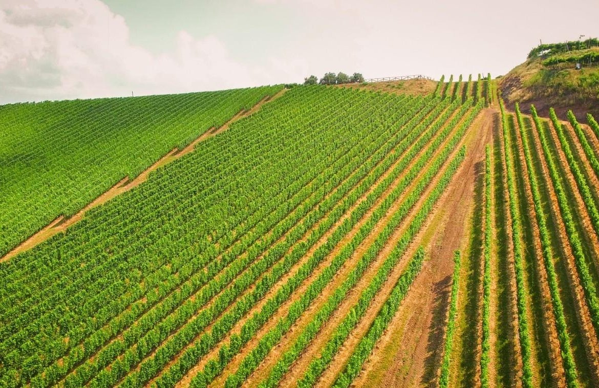 Terreno agricolo in vendita – €. 2.150,00 – rif. 4606906
