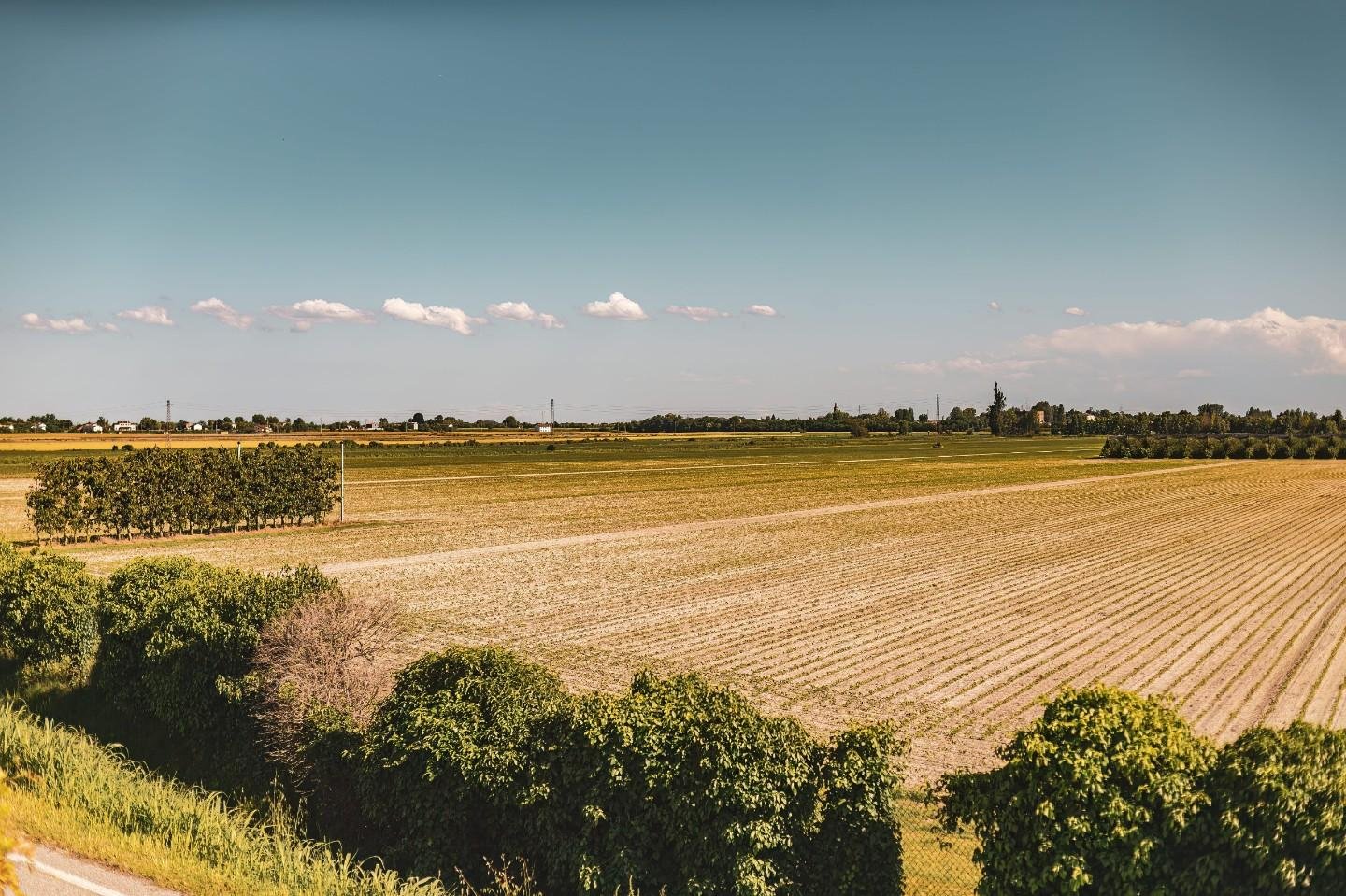 Terreno residenziale in vendita – €. 80.000,00 – rif. 4607484