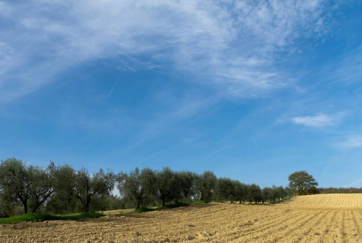Terreno residenziale in vendita – €. 80.000,00 – rif. 4607484