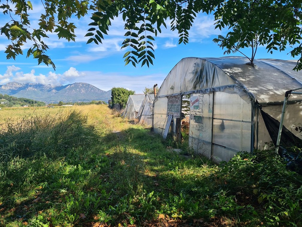 Casale in vendita – €. 103.500,00 – rif. 4592240
